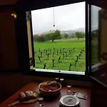 Gozzadini Vineyard! *