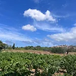 度假居 Gozzadini Vineyard!