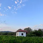 Gozzadini Vineyard! 度假居 Avlonarion