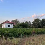 Gozzadini Vineyard! *