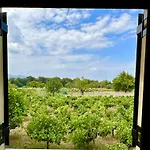 度假居 Gozzadini Vineyard! *