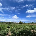 Gozzadini Vineyard! 度假居