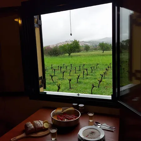 Gozzadini Vineyard! *