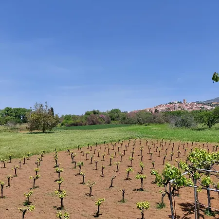 Дом отдыха Gozzadini Vineyard!