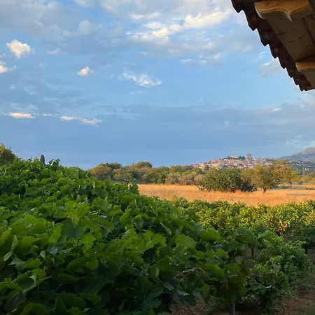 Gozzadini Vineyard! Vakantiehuis *