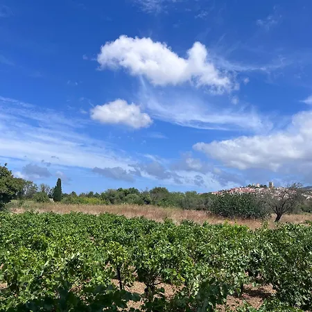 Holiday home Gozzadini Vineyard!