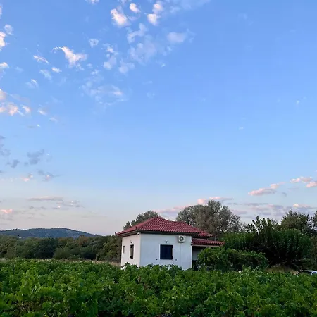 Gozzadini Vineyard! Holiday home Avlonarion