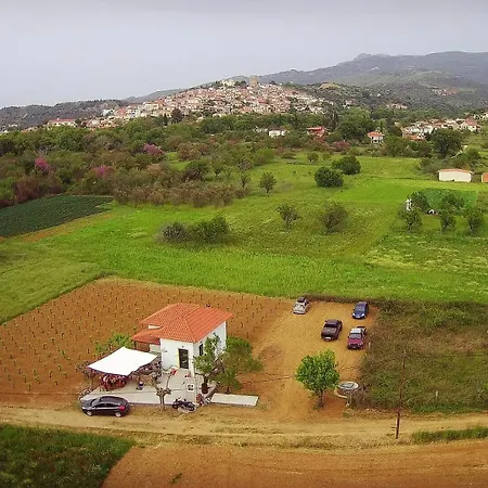 Vakantiehuis Gozzadini Vineyard! Avlonarion