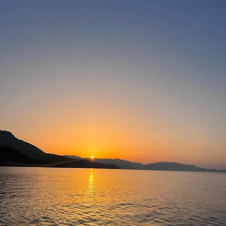 Gozzadini Vineyard! * Avlonarion