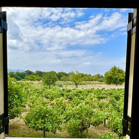Vakantiehuis Gozzadini Vineyard! *