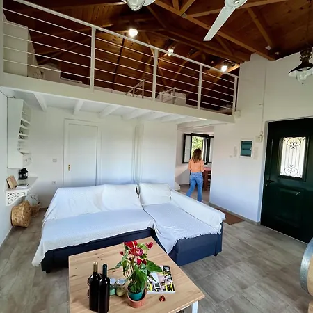Gozzadini Vineyard! Holiday home Avlonarion