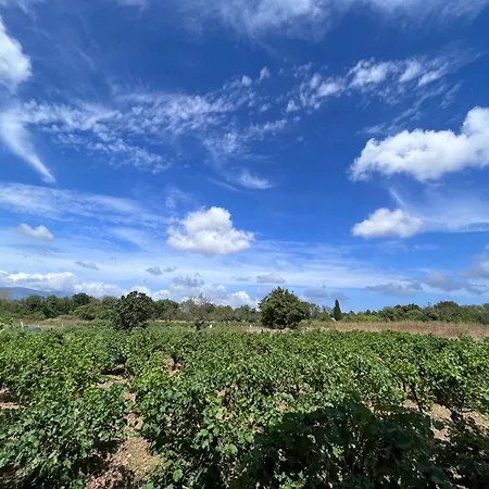 Gozzadini Vineyard! Vakantiehuis